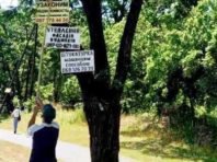 Озеленювачі Святошинського району очистили дерева від реклами