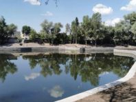 На Оболоні навколо Пташиного озера зробили маленький парк  [Фото]