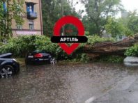 Потужна злива повалила дерева у Києві [Фото]