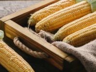 Де придбати кукурудзу та абрикоси у Києві