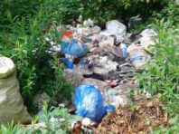 Київ очистили від 2 тисяч кубометрів сміття