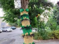 Дерево на Позняках одягли в яскраву сукню