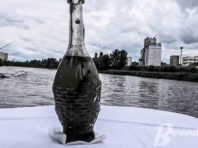 Забруднення озера Лугове на Оболоні: сумний кінець історії [Фото]