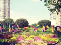 У Києві на клумбі створили соціальну рекламу з квітів