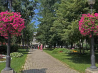 Київ заросте виноградом та ліанами [Фото]
