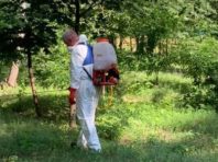 У Дніпровському районі обробили парк від рослини-алергена