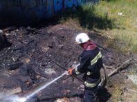 За добу в столиці вогнеборці шість разів виїжджали на «сміттєві пожежі»