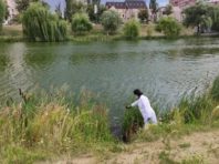 Столичні водойми засипали білим порошком