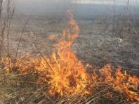 Рятувальники попередили про небезпеку пожеж на вихідних