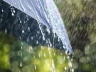 Новий тиждень у Києві розпочнеться з грози