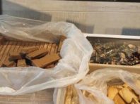 Правила карантину найчастіше порушують у столичних магазинах та гуртожитках