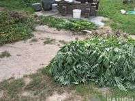 Київські поліцейські вилучили наркотиків на 15 мільйонів гривень