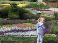 10 тисяч киян вже побачили квіткових Шрека та Посіпак