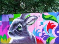У київському садочку з’явився яскравий заєць [Фото]
