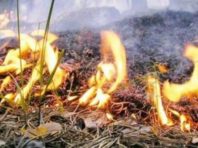 Три дні у Києві буде високий рівень пожежної небезпеки