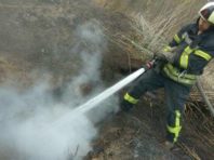 На Київщині горять торф’яники, а в столиці спостерігається забруднення повітря