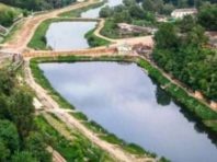 Війна петицій: що чекає Совські ставки