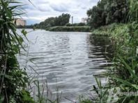 За забруднення озера на Оболоні винуватці заплатять менше