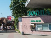На повну реконструкцію столичного зоопарку необхідно не менше 5 років – Кличко