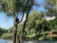 На Троєщині облаштовують один із найкращих парків столиці [Фото]