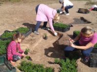 На лівому березі столиці створили клумбу з сміття і квітів [Фото]