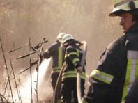 Пожежу на сміттєзвалищі у Дарницькому районі загасили