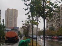 На Позняках висадять 80 лип
