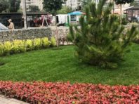 Оаза замість стихійного ринку: завершуються реконструкція Оболонської площі [Фото]