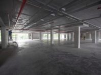 На території столичного зоопарку наприкінці вересня відкриють паркінг
