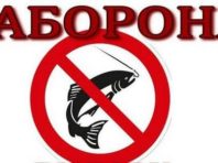 З 1 листопада на Київщині заборонено вилов риби в зимувальних ямах
