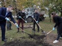 У Святошинському районі висадили алею райських яблунь [Фото]