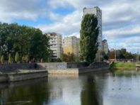 На житловому масиві Теремки-2 розчистять озера та створять зони відпочинку [Фото]