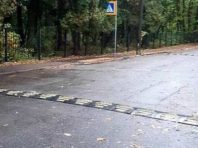 У Голосіївському районі студентів захистили «лежачими поліцейськими»