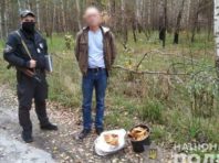 Радіоактивні гриби не довезли до ринків Києва