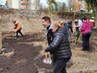 Замість незаконного з’їзду, в Солом’янському районі висадили каштани [Фото]