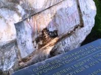 У Києві спіймали вандала, який дебоширив на Пейзажній алеї