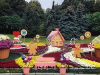 Прогулянки під час карантину: куди піти у Києві на вихідні [Фото]
