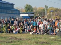 В Оболонському районі в рамках акції «Мільйон Дерев» висадять катальпи