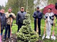 У Києві за один день висадили понад тисячу дерев