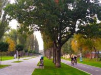 Як оновили парки Києва за п’ять років [Фото]