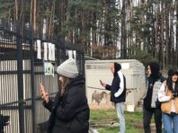 Зірки «TikTok» у Києві розказують, як забрати вірного друга з притулку [Фото]