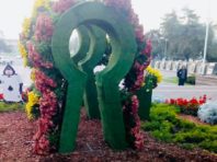 У київському парку «Перемога» з клумби викрали «карти» [Фото]