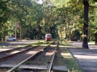 Києву повернули землю у Пущі-Водиці вартістю 106 млн грн