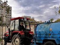 На Відрадному з’явились 25 кленів