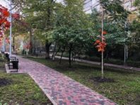 У сквері на вулиці Татарській висадили алею королівських кленів [Фото]