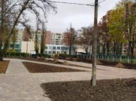 В оновленому сквері Оболонського району висадять сливи та ліквідамбри