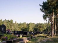 У Києві судитимуть «цвинтарних ділків»