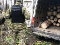 На Київщині спіймали росіянина, який вкрав українські сосни