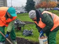 Біля Лівобережної висадили унікальні квіти