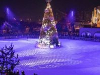 Перша новорічна ялинка у Києві